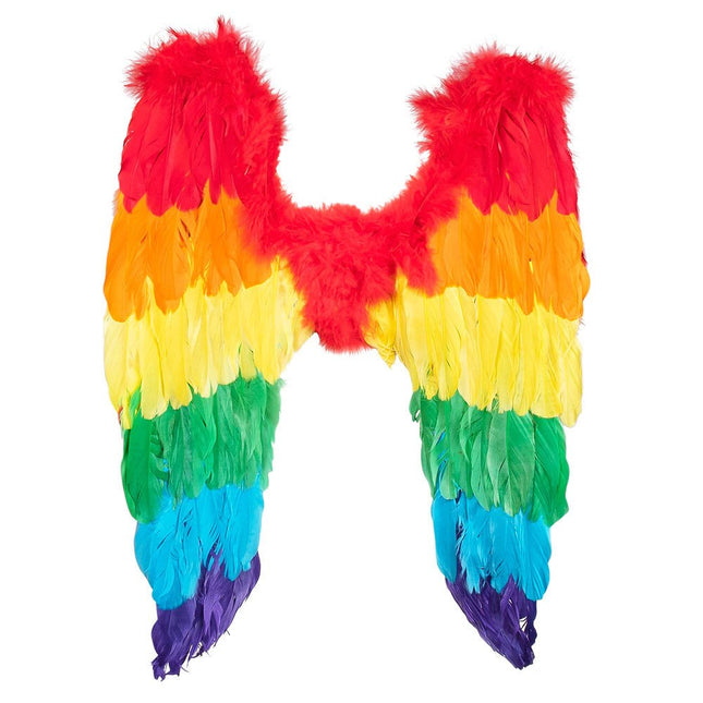 Engelen Vleugels Regenboog 50cm van Boland koop je bij Partywinkel