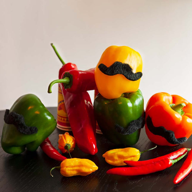 Zestaw 5 elementów Mexican Mustache Fiesta