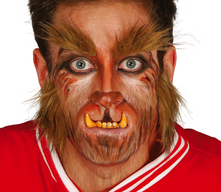 Brwi i bokobrody wilczarza