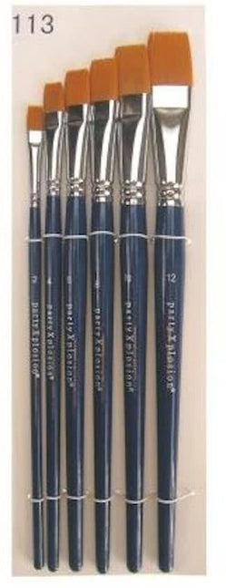 Zestaw szczotek PXP w etui 6 szt.