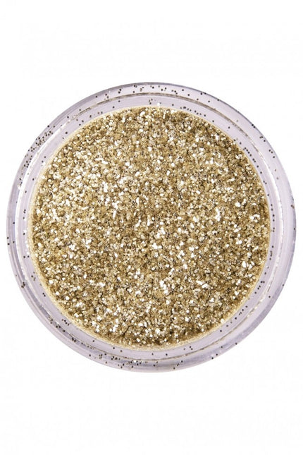 PXP Glitter Powder Dutch Silver 2,5gr