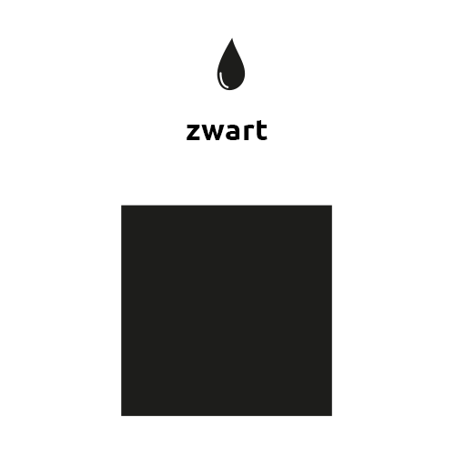 Zwarte Ballonnen 25cm 10st van Balloonia koop je bij Partywinkel