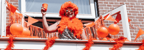 Maak Koningsdag onvergetelijk met onze oranje versieringen - Partywinkel