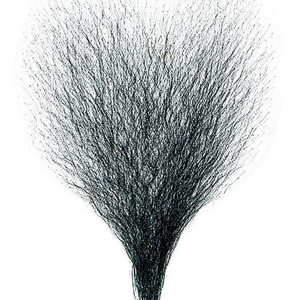 Collection image for: Borsthaar