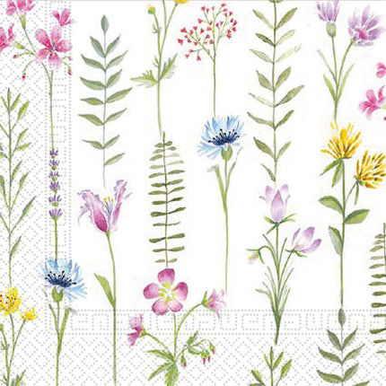 3 warstwowe serwetki papierowe 33X33Cm/Everyday Designs 3 warstwowe serwetki papierowe 33X33Cm Botanical 20St
