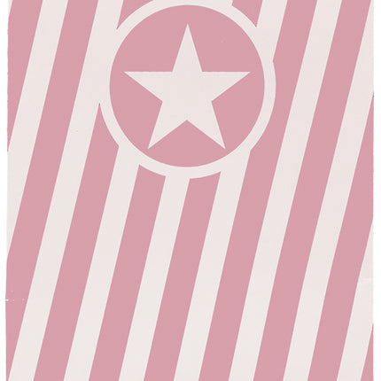 Party Essentials Fsc Paper Pop Corn Bag Pink 6St