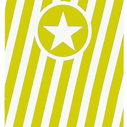 Party Essentials Fsc Paper Pop Corn Bag Lime Green 6St