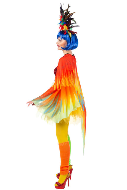 Papuga Cape Coloured