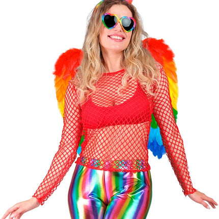 SKRZYDŁA Z PIÓR TĘCZA SKŁADANE 50 X 50 CM