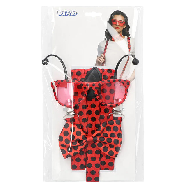 Zestaw Ladybird