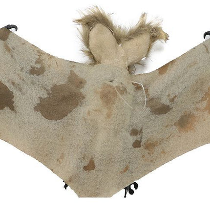 Halloweenowy nietoperz 60 cm