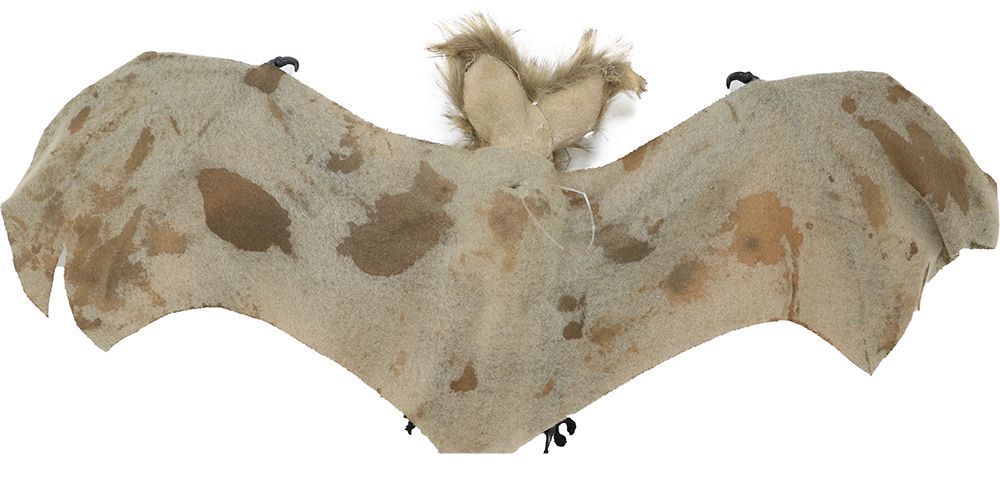 Halloweenowy nietoperz 60 cm