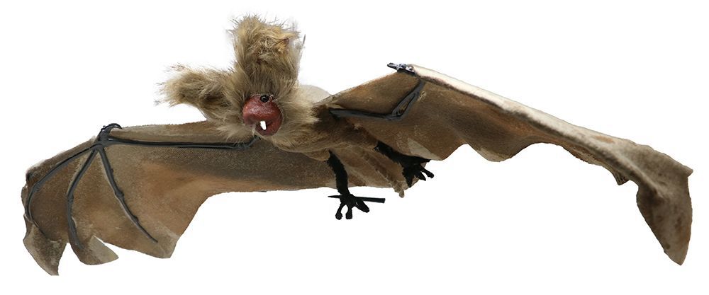 Halloweenowy nietoperz 60 cm