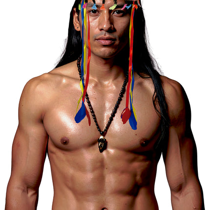 Wielokolorowy pióropusz z piór