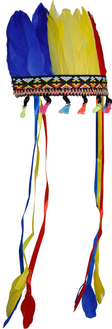 Wielokolorowy pióropusz z piór