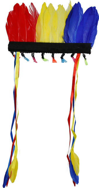 Wielokolorowy pióropusz z piór