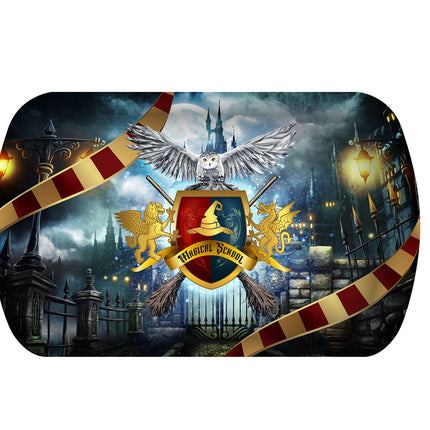 Taca Harry Potter 29 cm