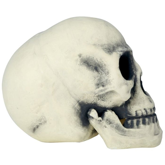 Halloweenowa czaszka 32 cm