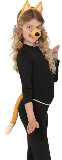 Zestaw kostiumów dla psa brązowy 3-częściowy