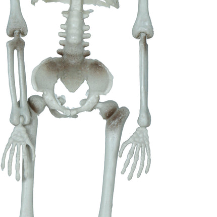 Dekoracja wisząca na Halloween Szkielet z toporem 40 cm