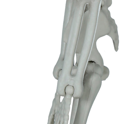 Dekoracja wisząca na Halloween Szkielet z toporem 40 cm