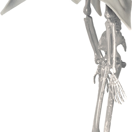 Lalka Halloween Szkielet Wampir 40 cm