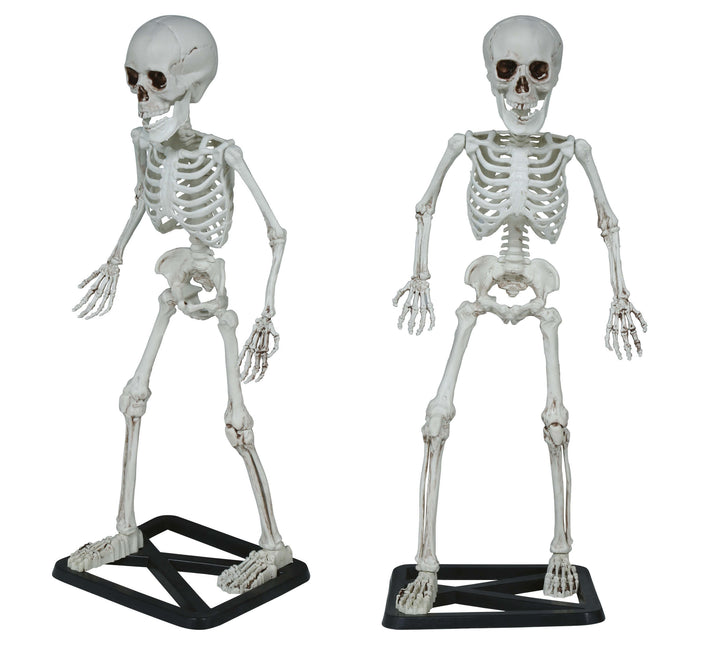 Halloweenowy szkielet 55 cm