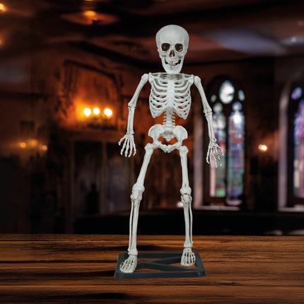 Halloweenowy szkielet 55 cm