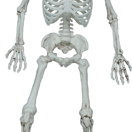 Halloweenowy szkielet 55 cm