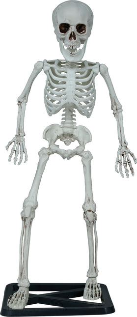 Halloweenowy szkielet 55 cm