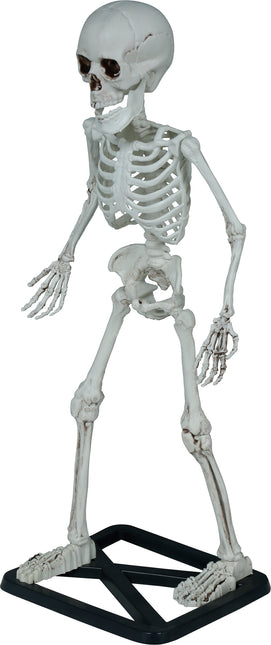 Halloweenowy szkielet 55 cm