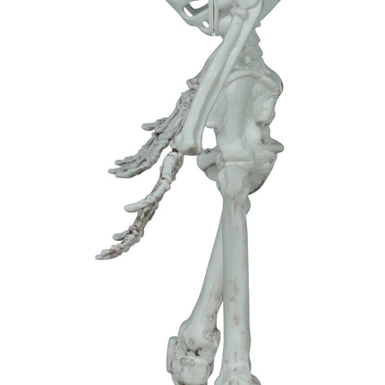 Halloweenowy szkielet 55 cm