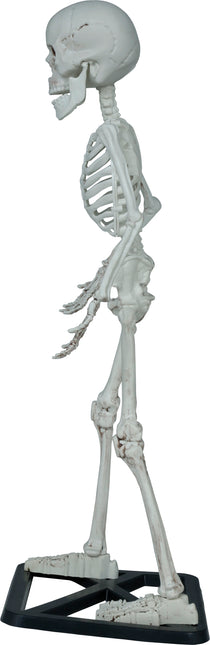 Halloweenowy szkielet 55 cm