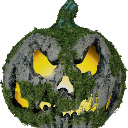 Halloweenowa dynia z mchu ze światłem 20 cm