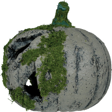 Halloweenowa dynia z mchu ze światłem 20 cm
