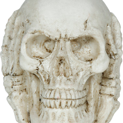 Halloweenowa czaszka 6 cm