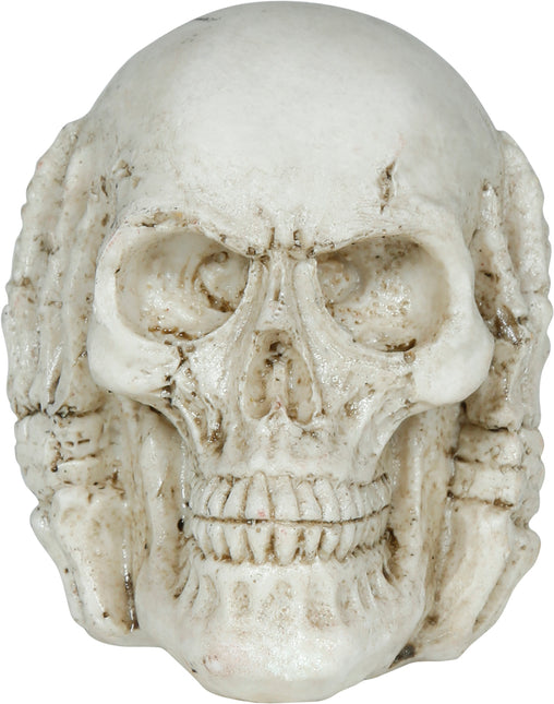 Halloweenowa czaszka 6 cm
