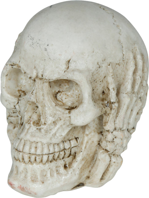 Halloweenowa czaszka 6 cm