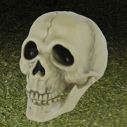 Halloweenowa czaszka 13 cm