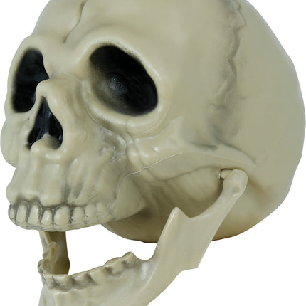 Halloweenowa czaszka 13 cm