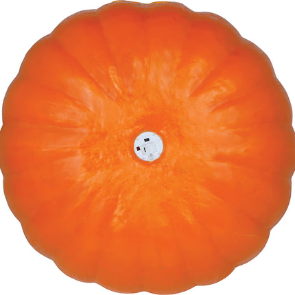 Dynia na Halloween z lampką, 45 cm
