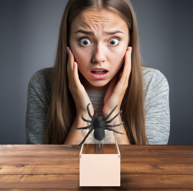Fałszywy pająk na Halloween w pudełku