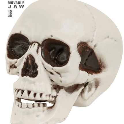 CZASZKA Z RUCHOMĄ SZCZĘKĄ 18 CM