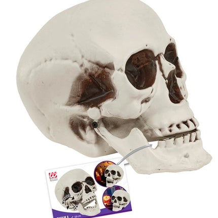 CZASZKA Z RUCHOMĄ SZCZĘKĄ 18 CM