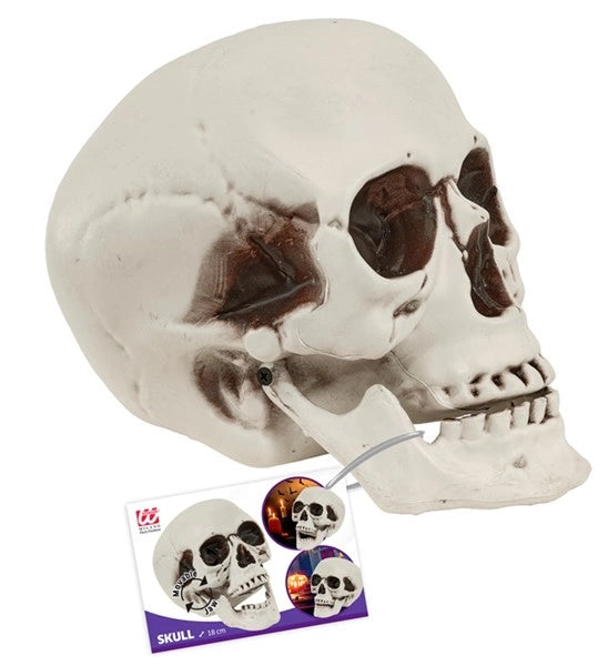 Czaszka na Halloween z ruchomą szczęką