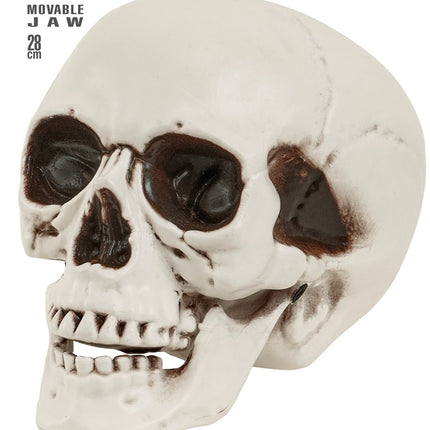 CZASZKA Z RUCHOMĄ SZCZĘKĄ 28 CM