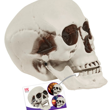 CZASZKA Z RUCHOMĄ SZCZĘKĄ 28 CM