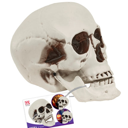 Czaszka z ruchomą szczęką 12 cm