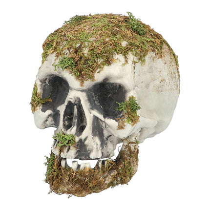 Halloweenowa czaszka z mchu 19 cm