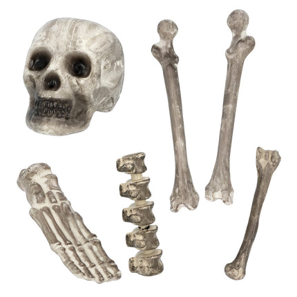 Szkielet na Halloween 6szt